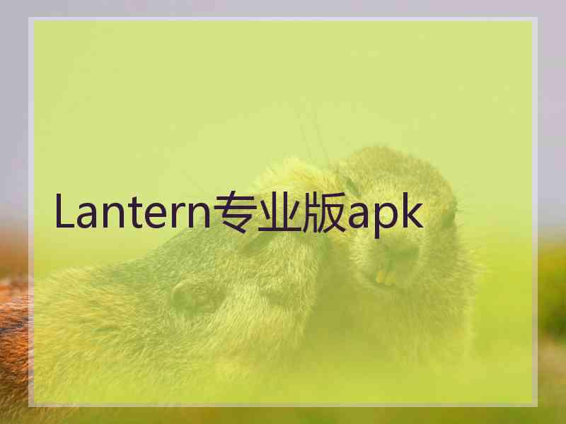 Lantern专业版apk