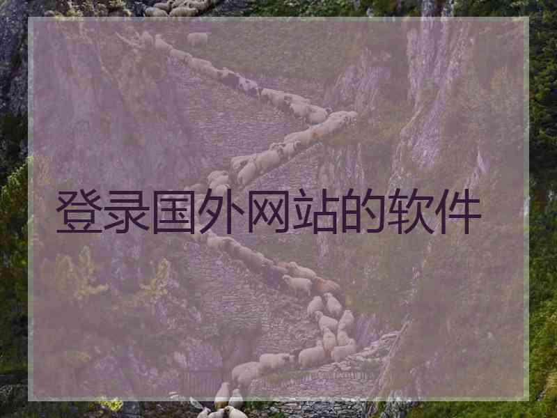 登录国外网站的软件