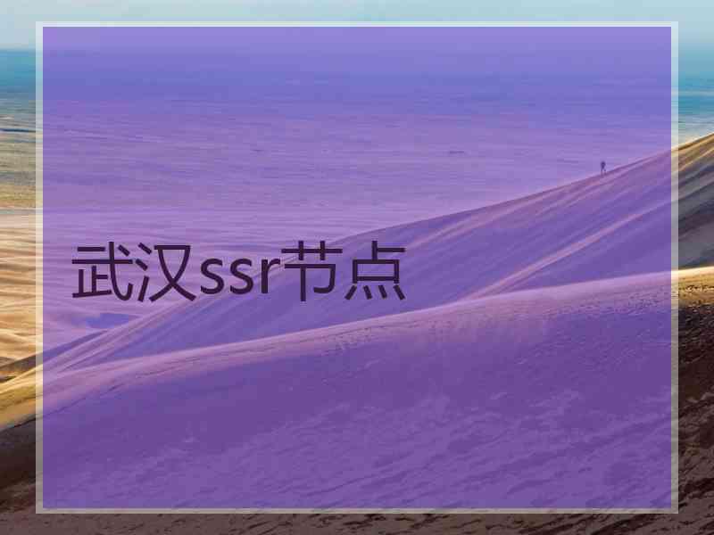武汉ssr节点