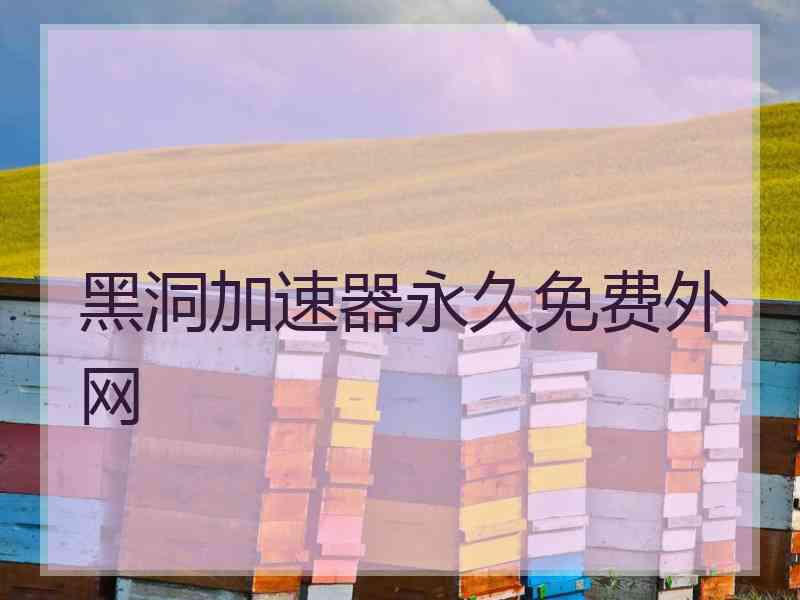 黑洞加速器永久免费外网