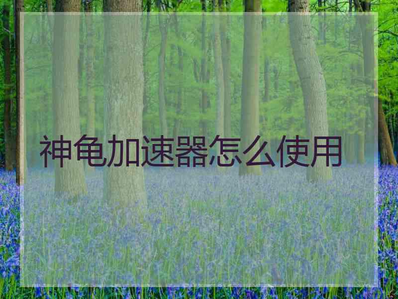神龟加速器怎么使用