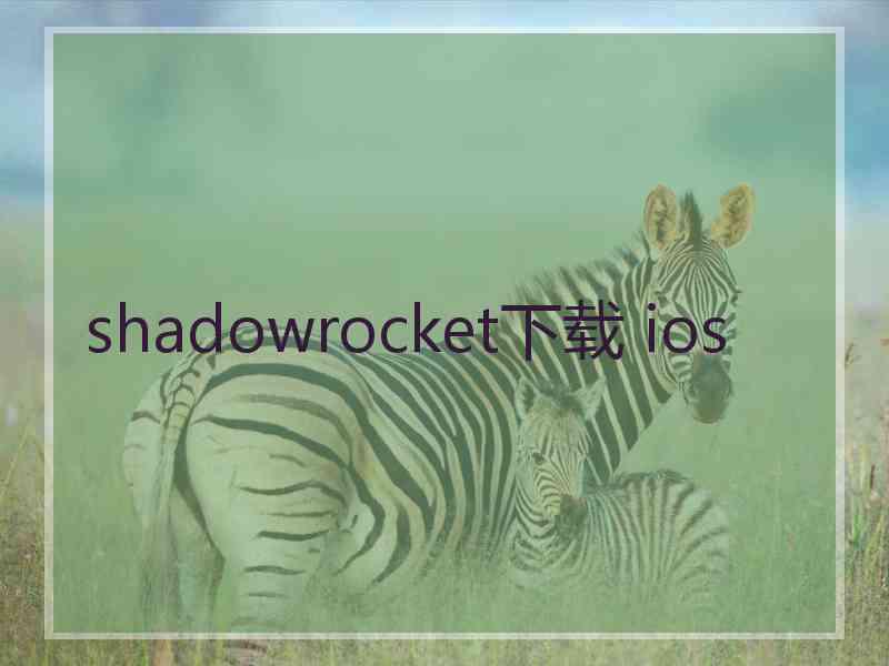 shadowrocket下载 ios