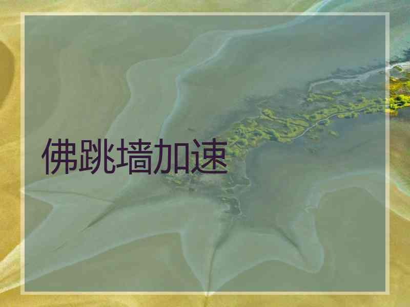 佛跳墙加速