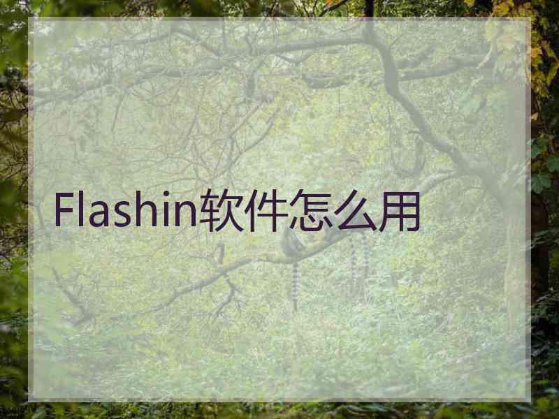 Flashin软件怎么用