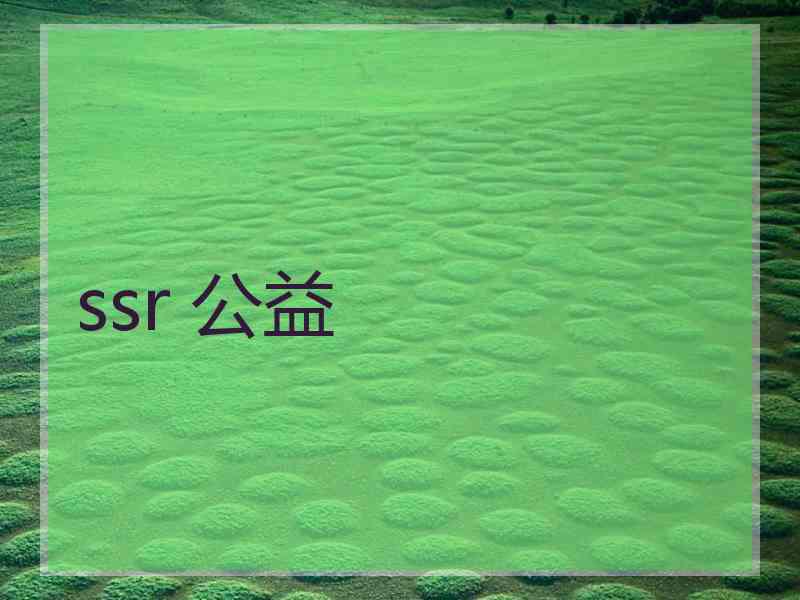 ssr 公益