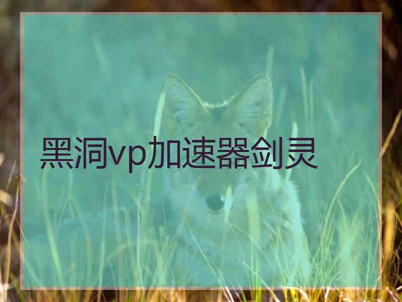 黑洞vp加速器剑灵