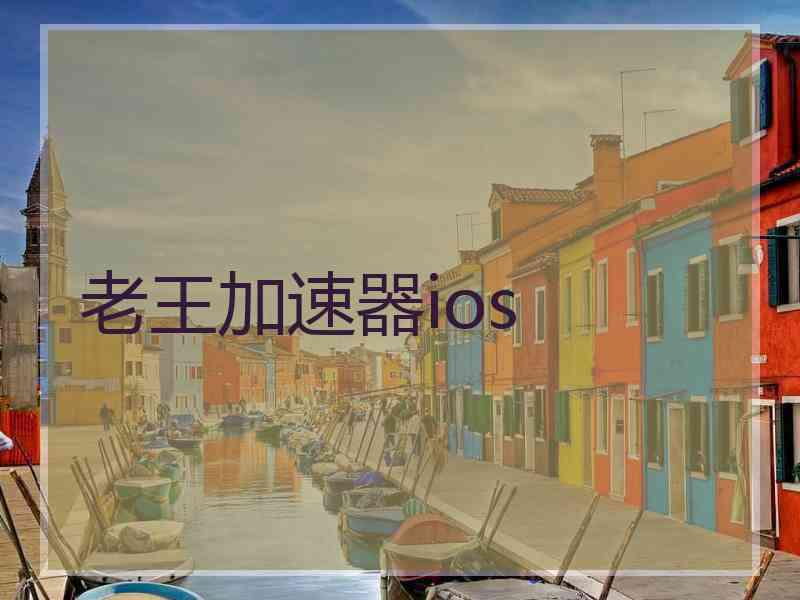 老王加速器ios