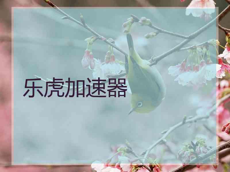 乐虎加速器
