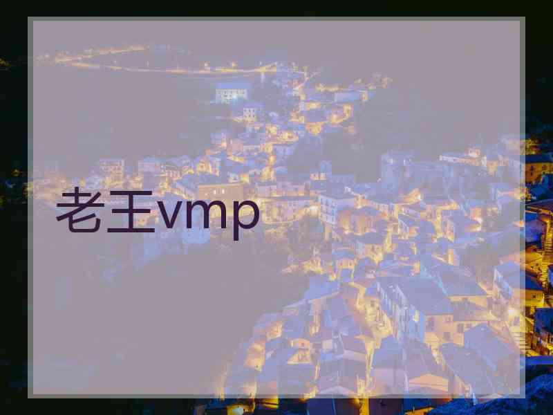 老王vmp