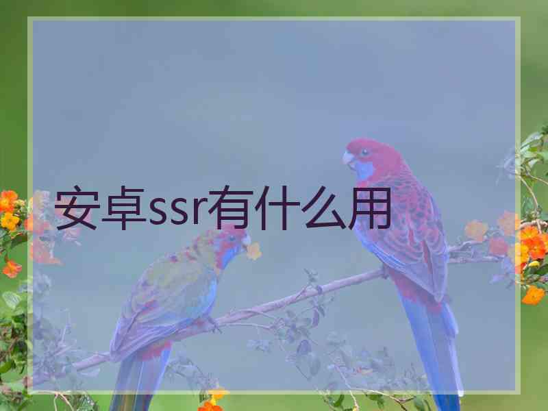 安卓ssr有什么用