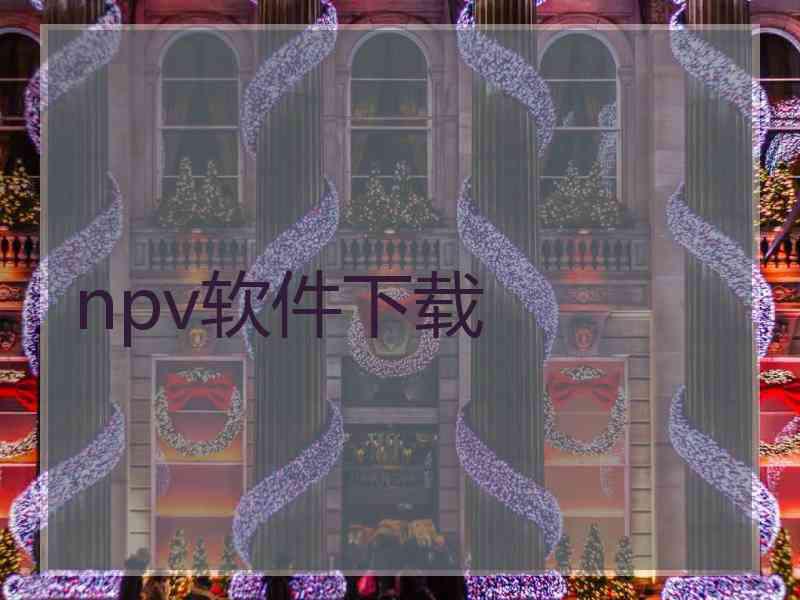 npv软件下载