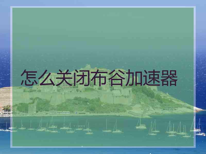 怎么关闭布谷加速器