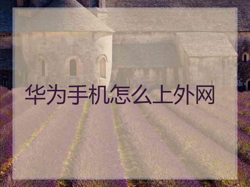 华为手机怎么上外网