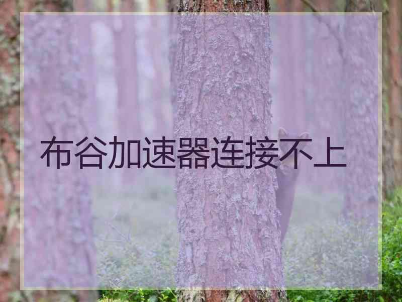 布谷加速器连接不上