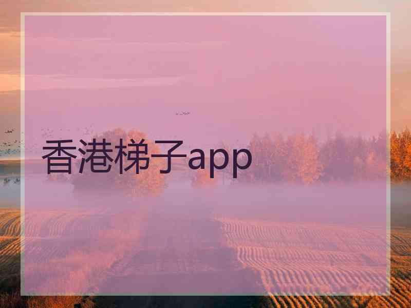 香港梯子app