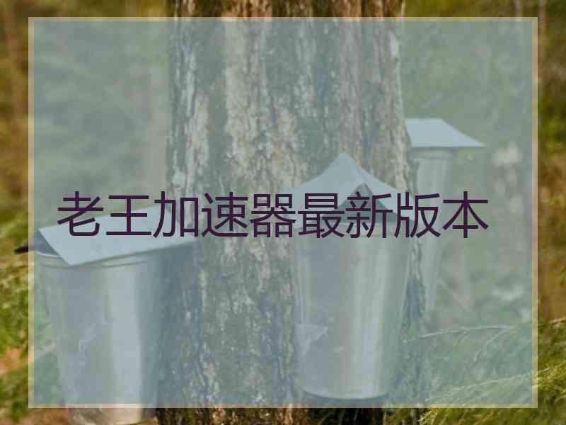 老王加速器最新版本