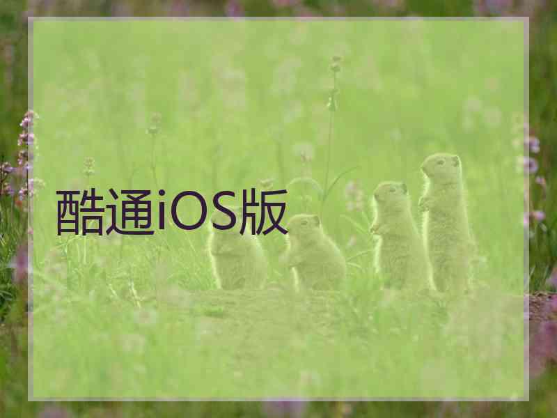 酷通iOS版
