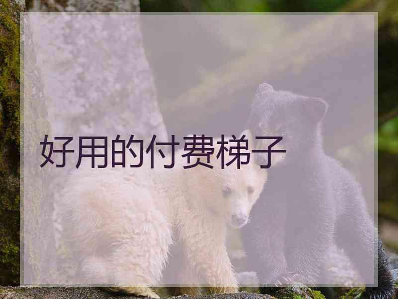 好用的付费梯子