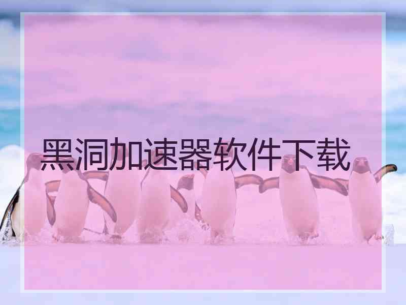 黑洞加速器软件下载