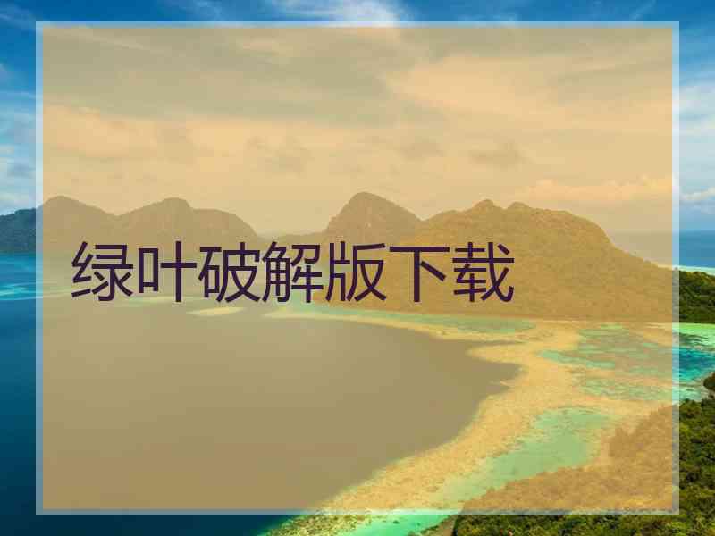 绿叶破解版下载