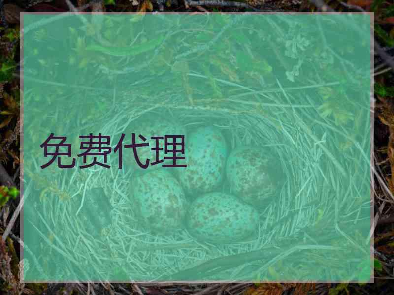 免费代理