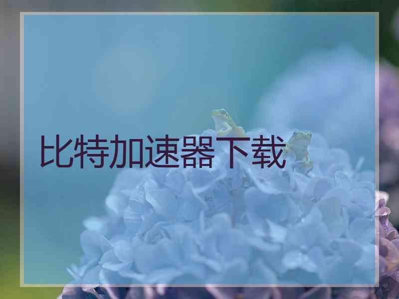 比特加速器下载