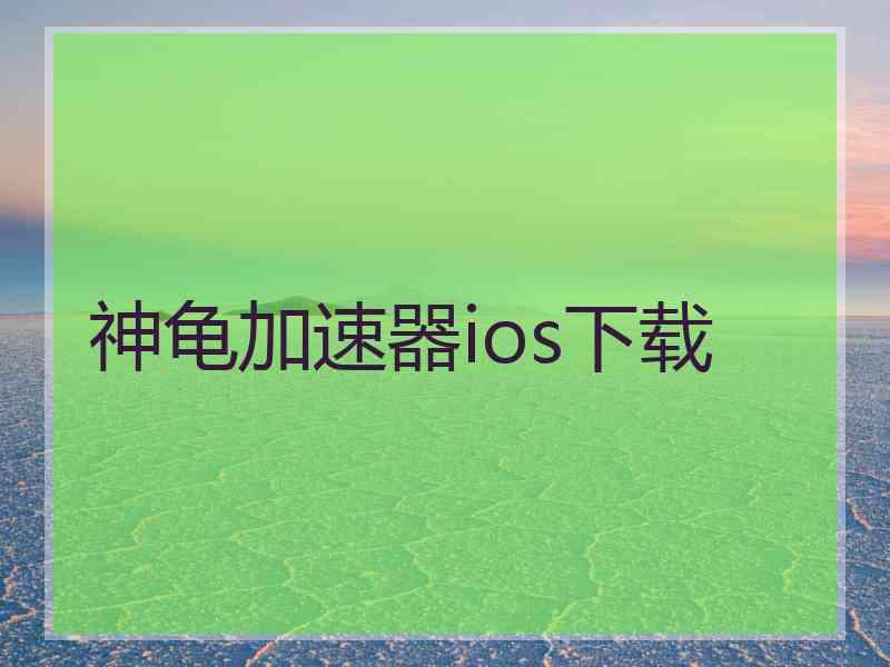 神龟加速器ios下载