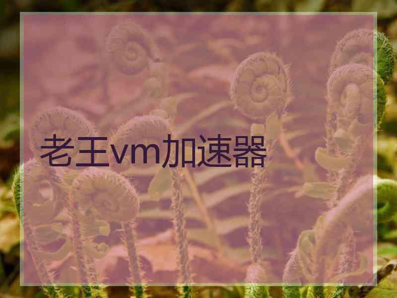 老王vm加速器