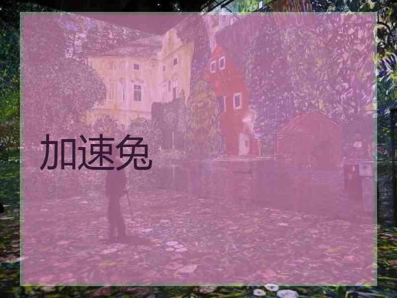 加速兔