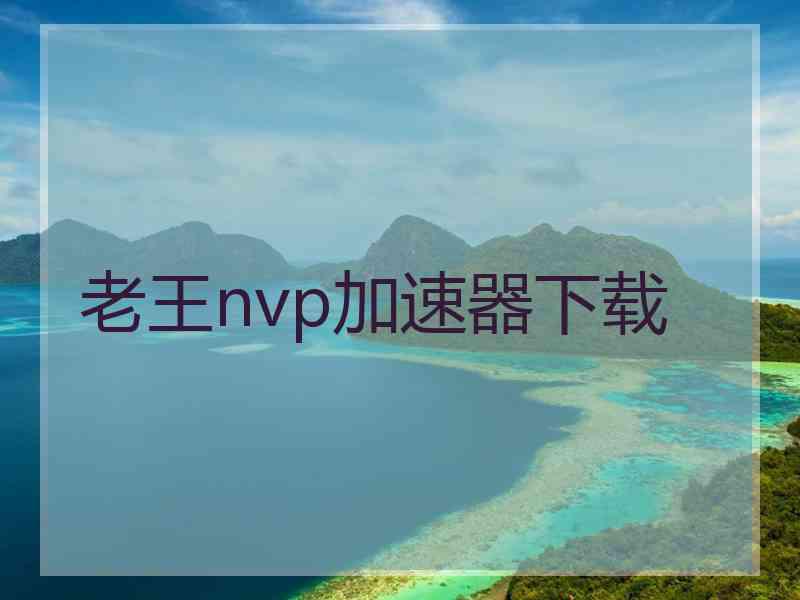 老王nvp加速器下载