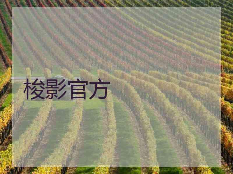 梭影官方