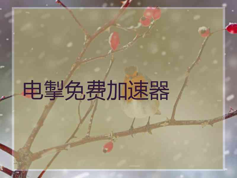 电掣免费加速器