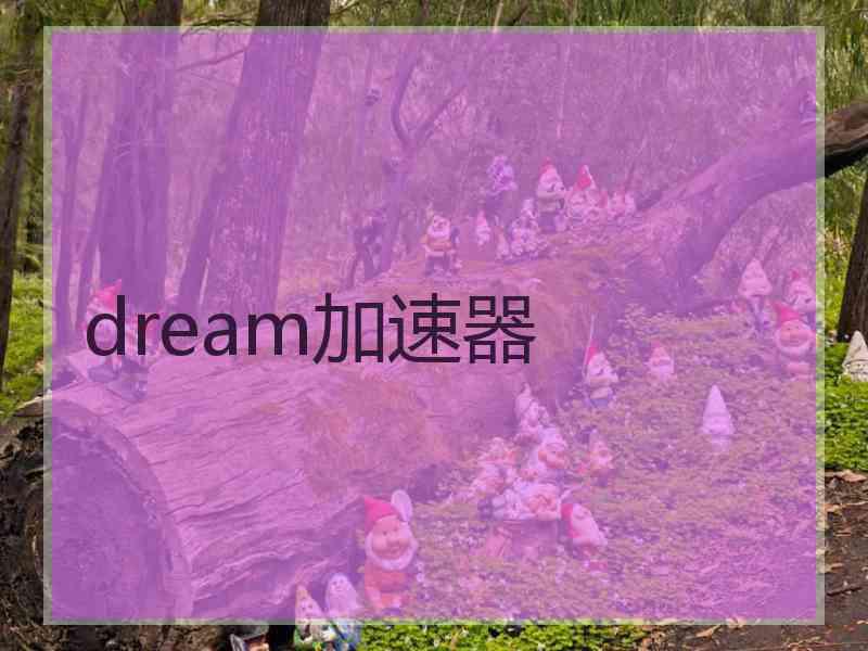 dream加速器