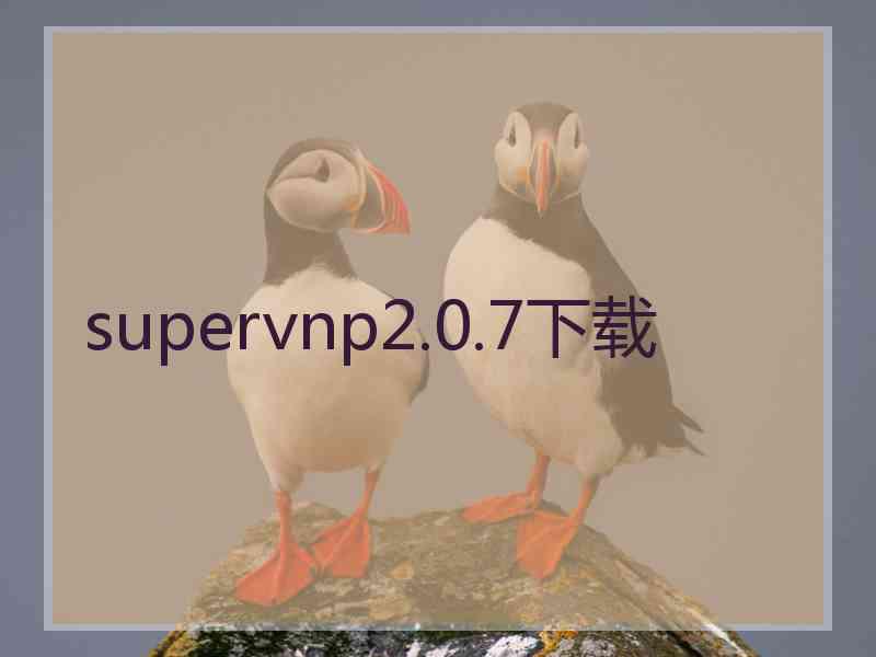 supervnp2.0.7下载
