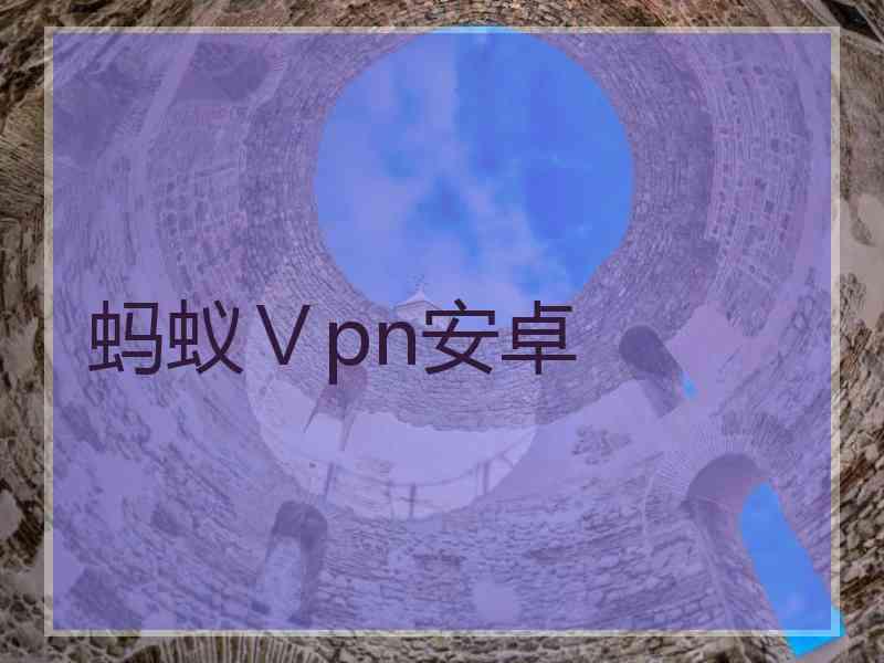 蚂蚁Ⅴpn安卓