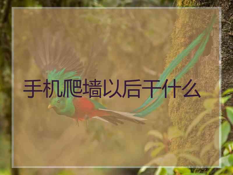 手机爬墙以后干什么
