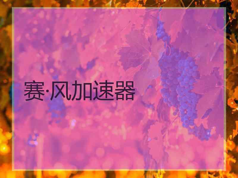 赛·风加速器