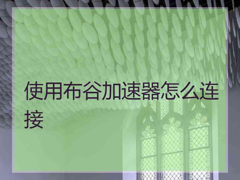 使用布谷加速器怎么连接