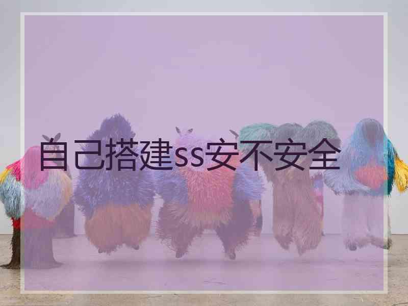自己搭建ss安不安全