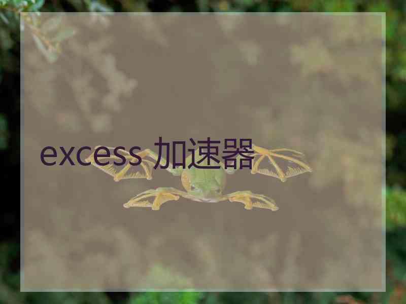 excess 加速器