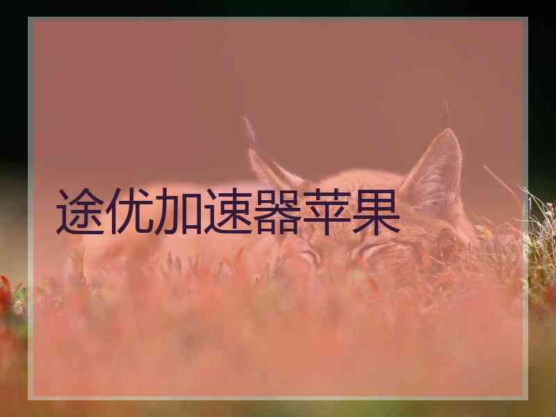 途优加速器苹果