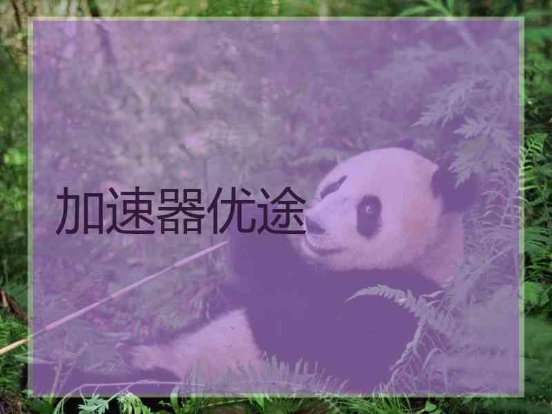 加速器优途