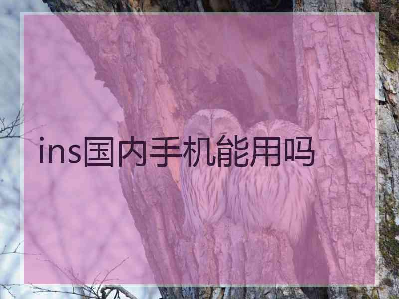 ins国内手机能用吗