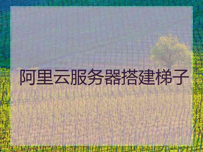 阿里云服务器搭建梯子