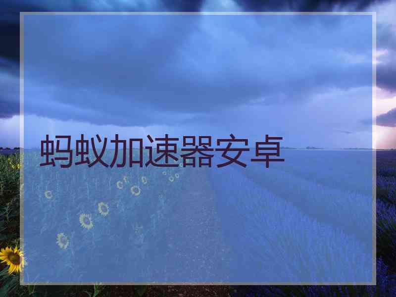 蚂蚁加速器安卓