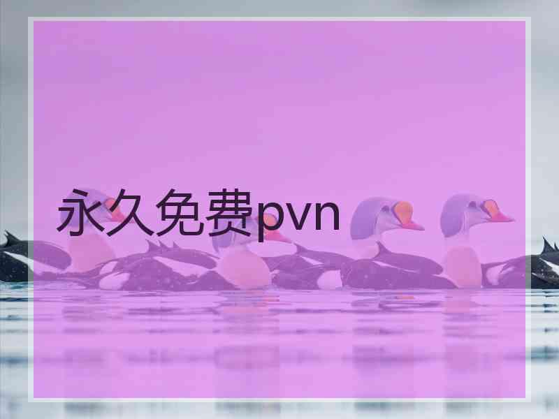 永久免费pvn