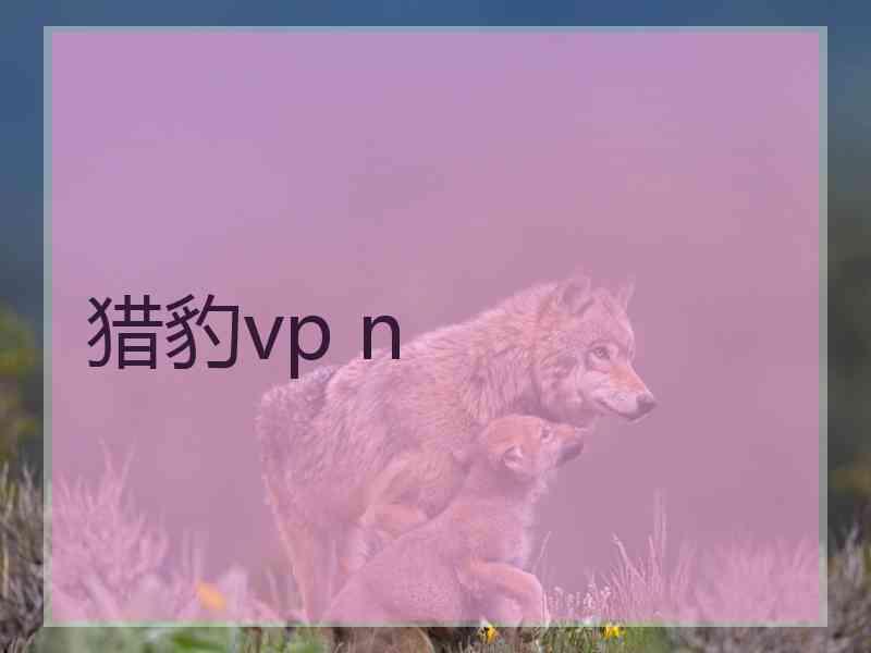 猎豹vp n