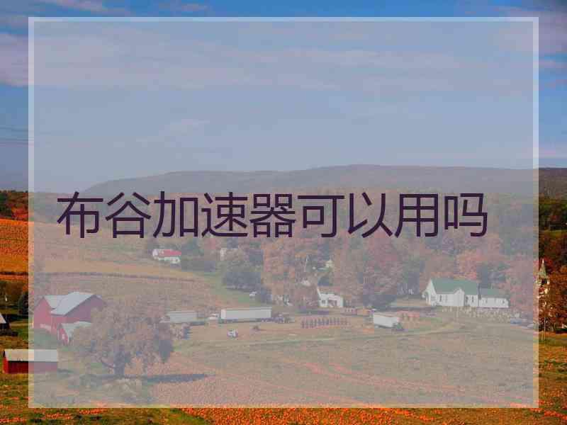布谷加速器可以用吗
