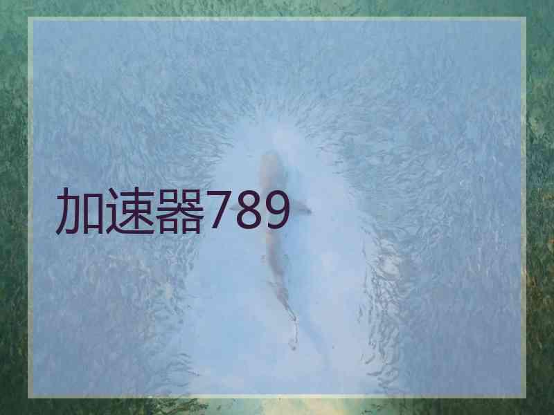 加速器789