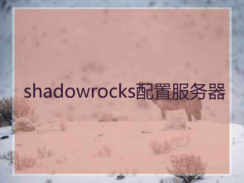 shadowrocks配置服务器